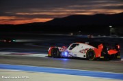 Italian-Endurance.com - PROLOGUE WEC 2016 - PLM_6742-2